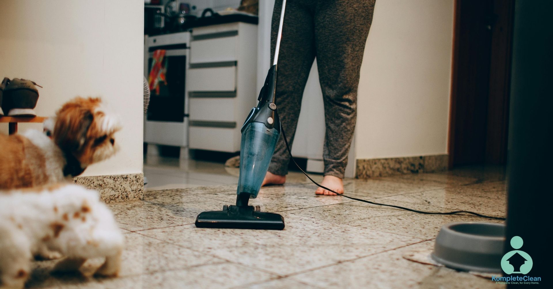 Household Dust (1)