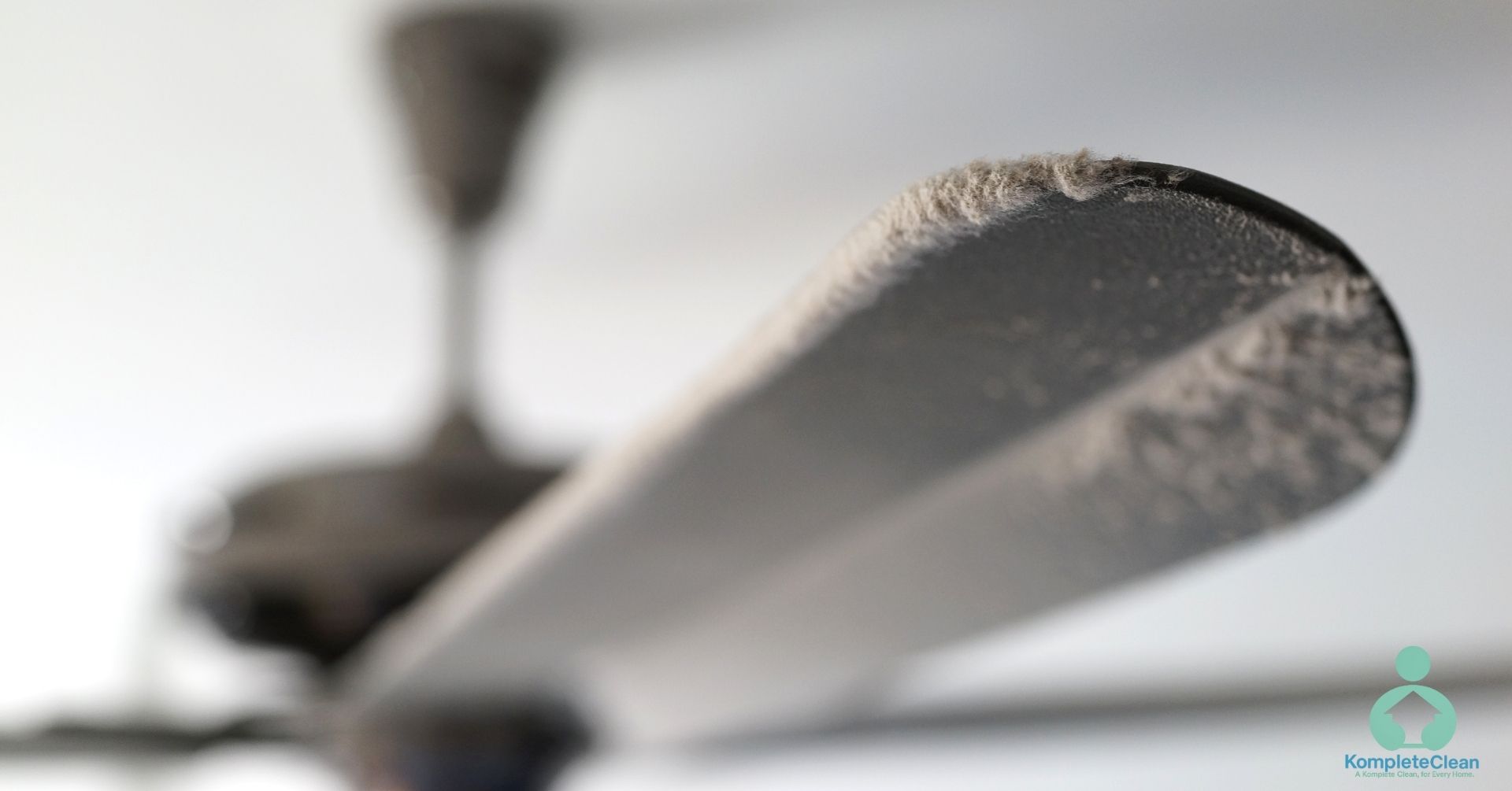Household Dust (3)