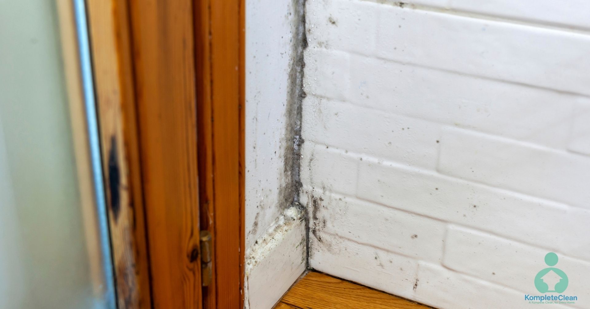Household Mold